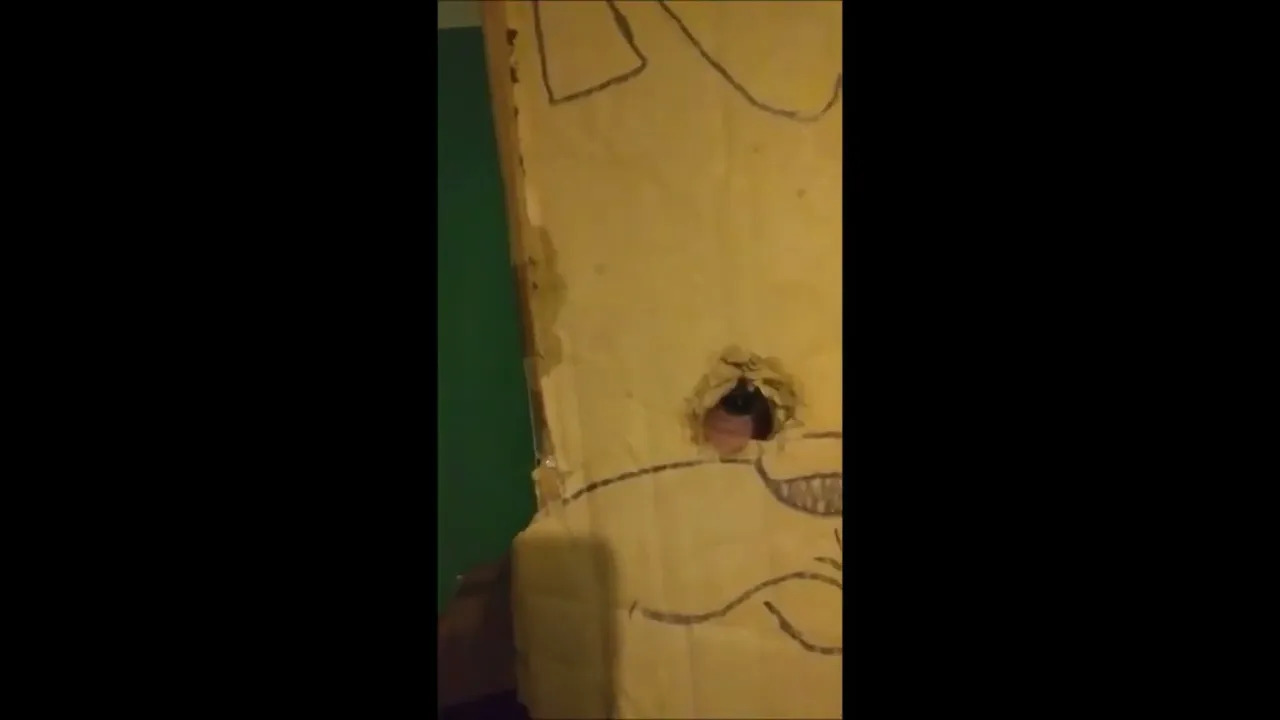 We did it, boys. Drake Bell Found SAFE and SOUND in Daytona Beach